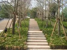 龙湖源著天街旁朝中庭2房,视野开阔,看体育公园