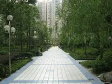 紧凑小户型,采光好户型好,小区绿化好.