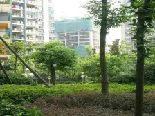 石桥铺 枫丹树语城二房66.9万