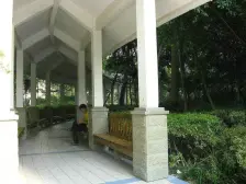 石桥铺 枫丹树语城二房84万