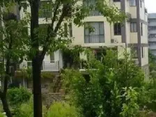 观音桥商圈,正规四房,电梯房,诚心出售,鲤鱼池+1