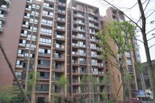 两路空港 红树林三房90万