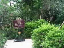 临湖大独栋别墅,300平花园,随时看房