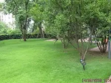 大竹林 龙湖江与城熙溪地三房162万