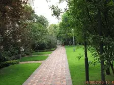 大竹林 龙湖江与城熙溪地四房150万