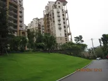 熙溪地 3室1厅 东南 西南