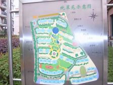 小区央座复式!层高5.2米!四卧室朝南!附赠双露台