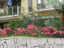 枫庭丽苑2室通透南北朝向550.00万元/套出售