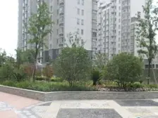 无抵押 精装 电梯房,新上房源