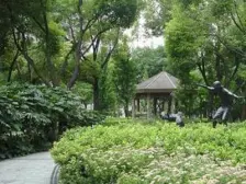 ?视野开阔?边套全明?满五一套税少?看房方便诚意卖