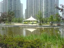 稀罕复式+南北通+三卫+全明+沿河!4年新装修拎包入住