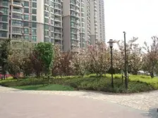 急 06次新 大阳台 钻石厅 一线河景+南北通+高区景观