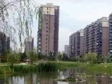 豪装50个,装好一年,工作调动,忍痛置换,看房方便