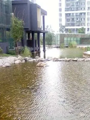 明园森林都市