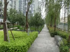 豪 华装修 双地铁 七宝标杆 品质皇都 住在公园里的家
