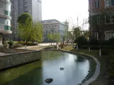 百年明强 电梯房 无抵押 精装,必看好房近体育公园