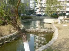 红房品质物业 1梯2户,大平层,无抵押 新上房源