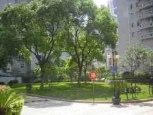 黄浦人民广场板块;高区视野开阔景观好,全明双南户型