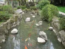 商品房受欢迎top2,看太古汇和小区湖景,有产权车位