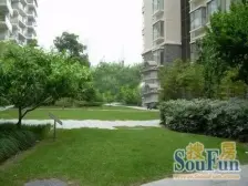 新天地·翠湖天地嘉苑·2室·1厅