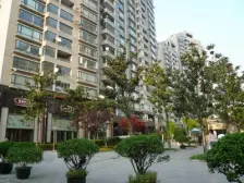 小区后排三房 满五年 业主诚意出售