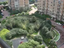 急业主诚售 嫁格可谈 看房方便 无个税 徐汇书包房 近第铁