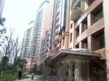 南京西路·国际丽都城·5室·3厅