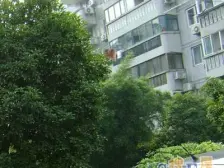 十五号线地铁口,高区,南北通,全明,