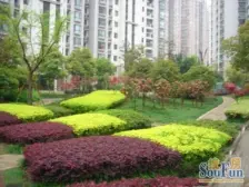 老静安品质小区+房龄新+好楼层+满五且v1