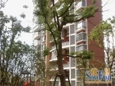 高区次顶楼景观一览无余满五小区中间位置