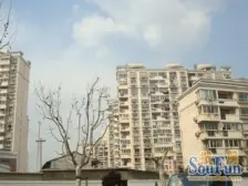 新上绿色丽园高区正规一房一厅 小区C位户型方正采光好
