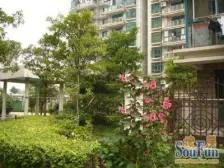店长推荐:精致大院子 三年新装修 拎包入住 价格美丽