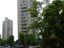 次顶楼凤凰楼层 厅卧朝南精装 采光视野好 价格好谈