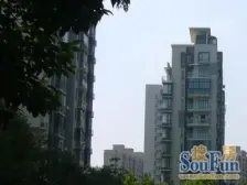 满五,电梯房,中间楼层,新上房源