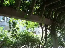 地铁口小区,南北通透,全明两房带厅,前排不遮挡