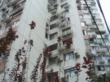 诚售好房,电梯高区两房一厅,全明户型