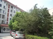 银联花园 景观位置 全明户型 看东方明珠