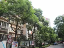 新出好房/对口齐一/电梯高层/采光视野无遮挡