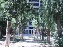 此房户型好 采光佳 精装修可以拎包入住