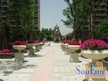 东方城市绿洲3室南朝向550.00万元/套出售