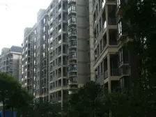 丰源淳和D区 南北通透,采光好 视野好,诚心出售