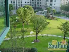 泰德苑 复试 高区 南北通透 空间改动性大 带产权车