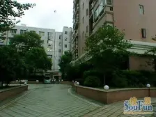 汇师边,泰德苑小区景观房,原泰德苑楼盘香港设计师自留单元