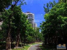 产权清晰,随时看房,精装,新上房源