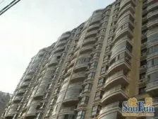 近延安西路站双轨交通 南北通透双阳台 客厅朝西 厨卫有窗