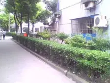顾村 · 泰和新城(东区) · 1室 · 1厅