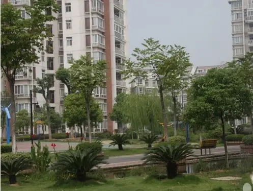 金色港湾四期