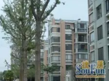 绿地南桥新苑一期飞机户型 近地铁 采光好 位置好