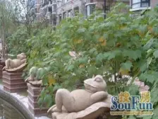 绿地南桥新苑一期飞机户型 近地铁 采光好 位置好