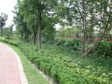 新江湾 低密度精致小洋房提升生活品质 满五